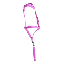Cabresto De Cavalo Fita Comum Cor Rosa Foto mini 1