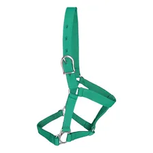 Cabresto De Fita Para Cavalos Com Guia Foto  mini 1