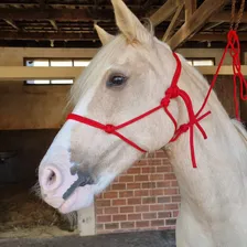 Cabresto Para Cavalo Joay Cordas Cabresto De 7 Nós Vermelho Cabresto Foto mini  3