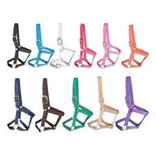 Cabresto Para Cavalo Nylon Reforçado Cor Cinza Foto mini  2