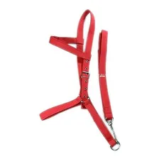 Cabresto Para Cavalos De Fita Cadarço Com Regulagem Foto mini  2