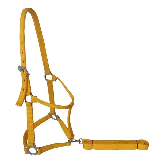 Cabresto Para Cavalos Quarto De Milha Preto Cor Amarelo Foto 1