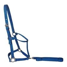 Cabresto Para Cavalos Quarto De Milha Preto Cor Azul Foto  mini 1