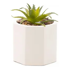 Cachepot Vaso Com Suculenta Geometrico Em Cimento Decoração Foto  mini 1