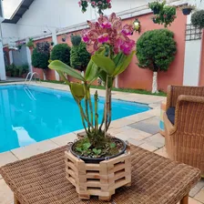 Cachepot Vaso De Madeira Octogonal Suporte Plantas Orquídeas Foto mini  2