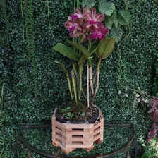 Cachepot Vaso De Madeira Octogonal Suporte Plantas Orquídeas Foto mini  3
