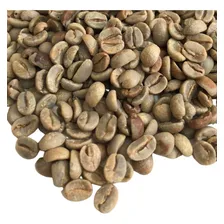 Café 100% Arábica Grãos Cru 7 Kg Foto mini 1