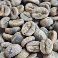 Café Arábica Grão Cru Região Vulcânica - Microlote 3kg Foto mini 2