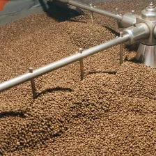 Café Torrado Arábica Em Grãos 1kg Gourmet Foto  mini 1