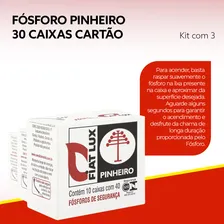Caixa de F贸sforo pequena Fiat Lux Pinheiro 3 ma莽os com 10 caixinhas de f贸sforo cada Foto mini 3