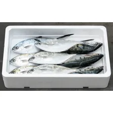 Caixa De Isopor P/ Alimento Pescado 7kg Isoterm (2 Unds) Cor Branco Foto mini 4