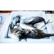 Caixa De Isopor P/ Alimento Pescado 7kg Isoterm (2 Unds) Cor Branco Foto mini 3