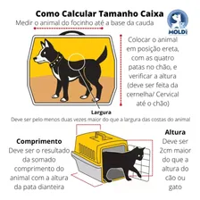 Caixa De Transporte N.0 Cão E Gato Pequena Filhote All Color Cor Vermelho Foto mini 3