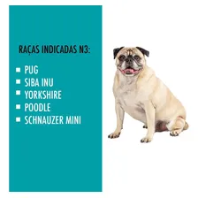 Caixa De Transporte N3 Cachorro Gato Cão Medios A Grandes Cor Azul Foto mini 4
