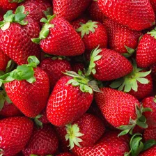 Caixa Empilhável 23 Litros Contentor Plástico Para Pães Cor Branca Foto mini 3