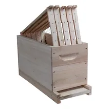 Caixa Isca Para Abelhas Apis Langstroth Eucalipto Sem Arame Foto mini 2