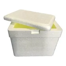 Caixa Isopor 21 Litros Térmica Gelo Cerveja Refri Isoterm Foto mini 1