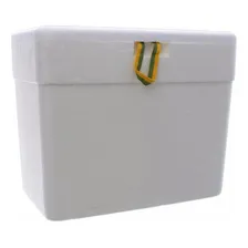 Caixa Isopor 21 Litros Térmica Gelo Cerveja Refri Isoterm Foto mini 3