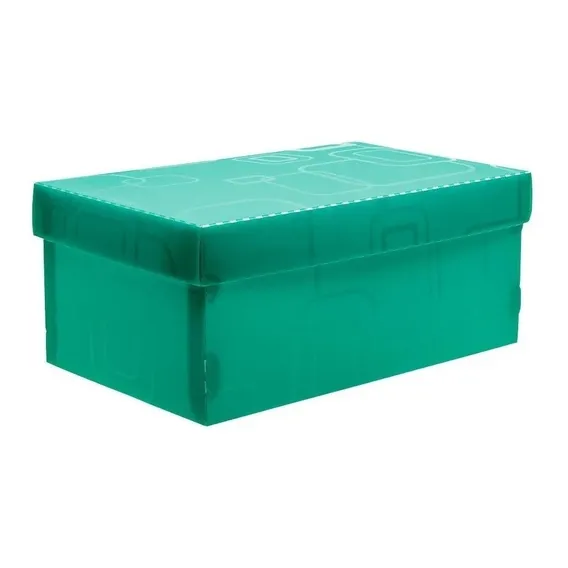 Caixa Organizadora Multiuso Mini Sapato Dello Verde 28x17x12 Foto 1