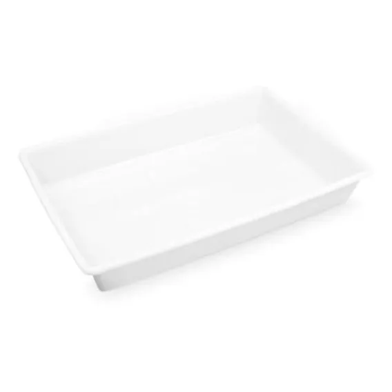 Caixa Para Alimentos Sem Tampa 17l 523 Cor Branco Foto 1