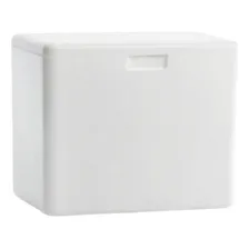 Caixa Térmica Isopor Grande 35litros Sorvete Refrigerante Foto mini 1
