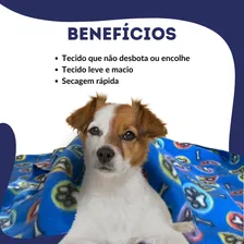 Caixa Transporte Cachorro Gato Pet N2 + Cobertor Soft - Patas Fiéis Foto mini  3