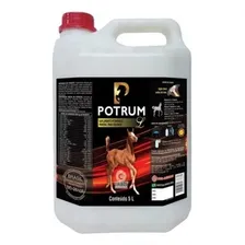 Calbos Potrum Suplemento Crescimento De Potro 5 L Foto mini 1