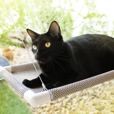 Cama De Gato Janela Gatton Catbed Aloha - King Foto mini 3