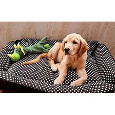 Cama Grande Para Pets Vest Pet Convencional Preto/Branco Foto mini 4