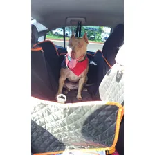 Capa Protetora Pet Banco Carro Luxo Cao Gato Meepets + Guia Foto mini 4
