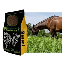 Capim Panicum Maximum Cv Massai 10kg - Até 2 Unidades Foto mini 4