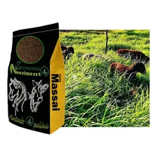 Capim Panicum Maximum Cv Massai 10kg - Até 2 Unidades Foto mini 2