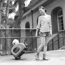 Carrinho Bolsa Cachorro Gato Pet Transporte Passeio Viagem Foto mini 4