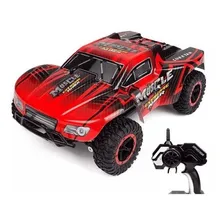 Carro Controle Remoto Selva 2.4g Off Road Racing Foto mini 1