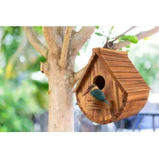 Casas de pássaros ao ar livre Foto mini 2
