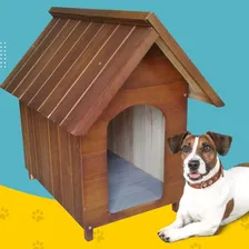 Casinha De Cachorro Maciça Simples Grande N°4 Foto mini 2