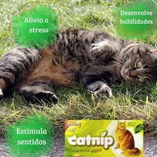 Cat Nip Catnip Erva Gato Natural Pet Ecolog 10 Gramas 1 Cx Foto mini  3