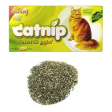 Cat Nip Catnip Erva Gato Natural Pet Ecolog 10 Gramas 1 Cx Foto  mini 1