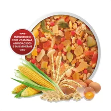 Cc Fruta Mix - 500g - Biotron - Papa De Frutas Para PƔssaros Foto mini 2