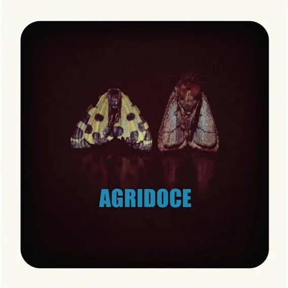 CD Agridoce 2011 - Pitty Martin Mendonça Foto 1