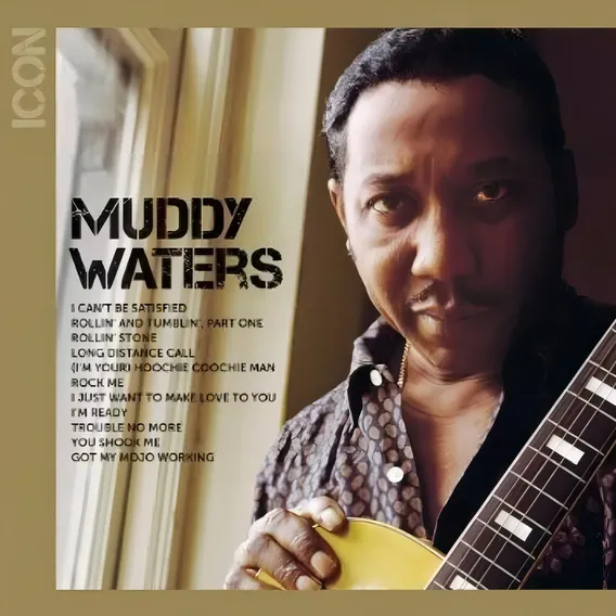 Cd Muddy Waters Icon Foto 1