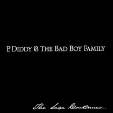 Cd P. Diddy & The Bad Boy Family - The Saga Continues Foto mini 1