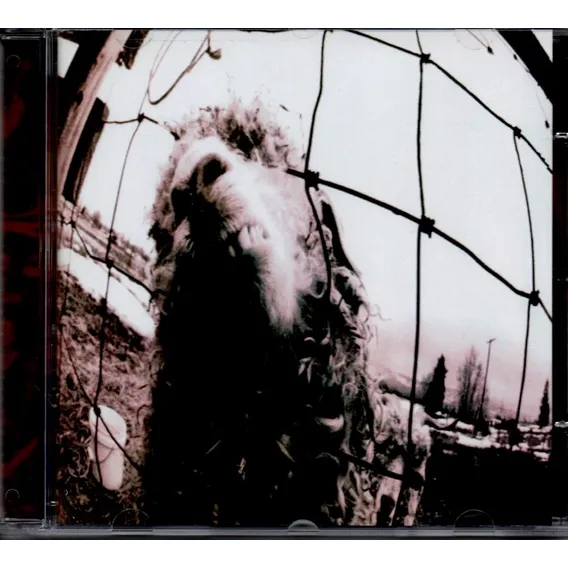 Cd - Pearl Jam - Vs. - Lacrado Foto 1