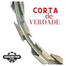 Cerca Concertina 10 Metros 30cm Com Kit Para Instalar Foto mini 3