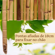 Cerca Ecológica Sustentável Bambu Natural 50cmx3,6m + Tutor Foto mini 3