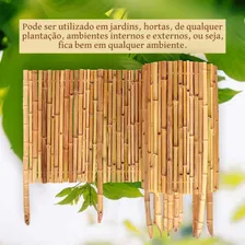 Cerca Ecológica Sustentável Bambu Natural 50cmx3,6m + Tutor Foto mini 2