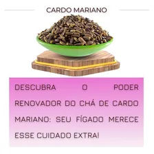 Chá De Cardo Mariano-autêntico Natural Para Cha 10g Foto mini 3
