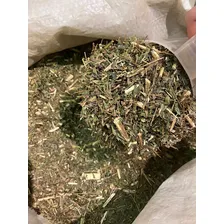 Chá Quebra Pedra 500g - Qualidade Premium - Imediato Foto mini  3
