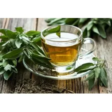Cha Verde Bancha Em Folhas Granel 1kg Foto mini 3