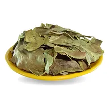 Chá Verde Brasileiro | Folhas Secas Cha Verde Foto  mini 1